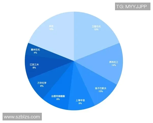 足球明星的成长之路与辉煌成就全景解析