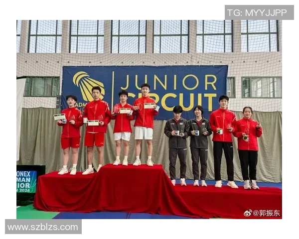 羽毛球力量榜单揭晓北京羽毛球队荣登第一名引发热议